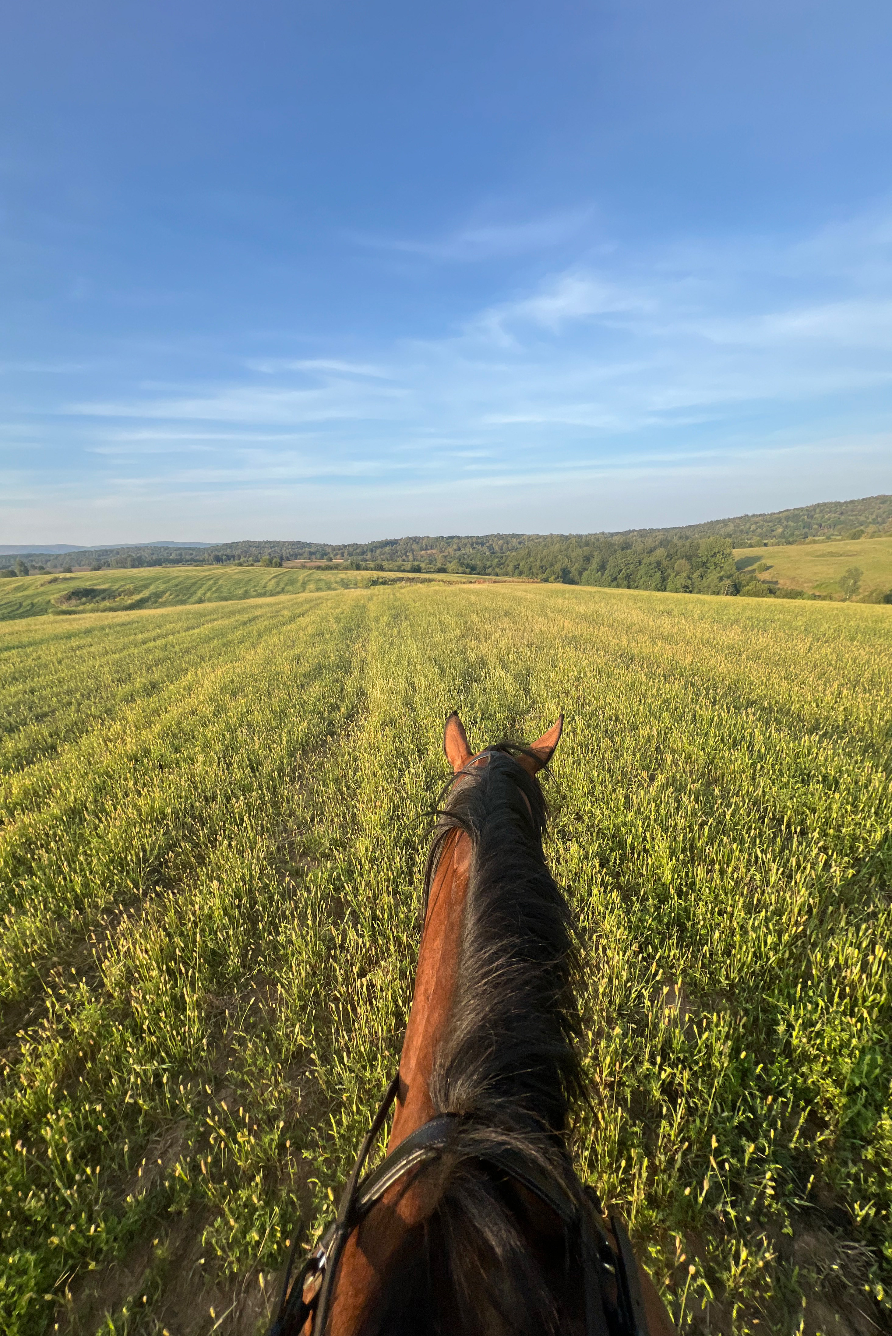 Sara riding a horse through green fields near Plitvice Lakes